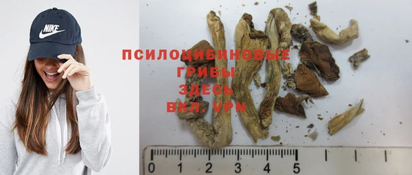 а пвп мука Инсар