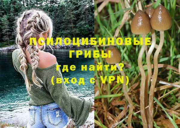 ALPHA-PVP Инта