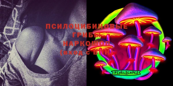 мдпв Иннополис