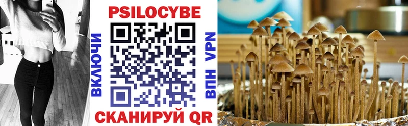 Галлюциногенные грибы Cubensis  Купить закладки  Малая Вишера 